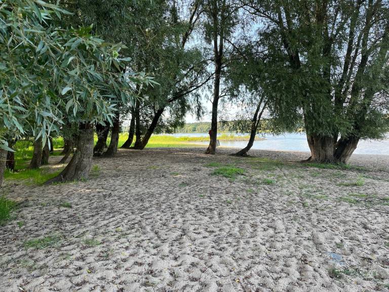 foto19