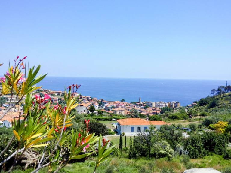 foto1