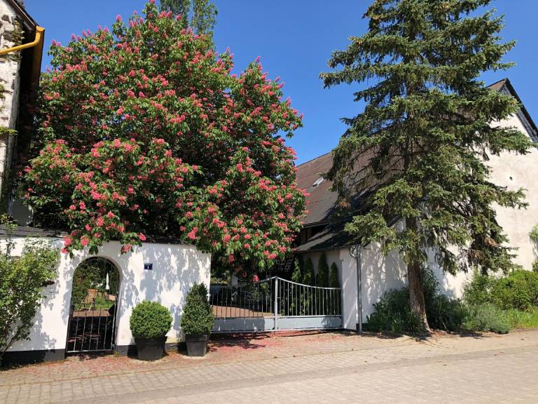 foto18