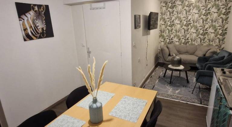 Holiday apartment | Pets are welcome in Roubaix