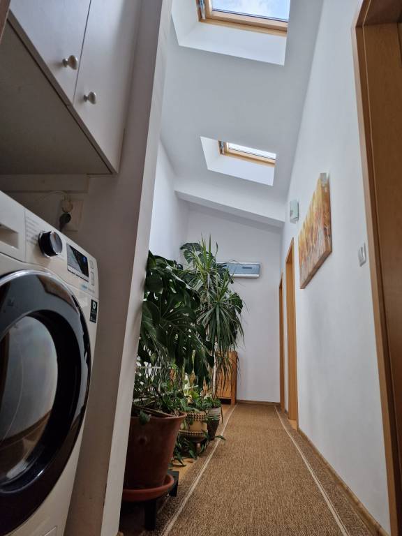 foto17