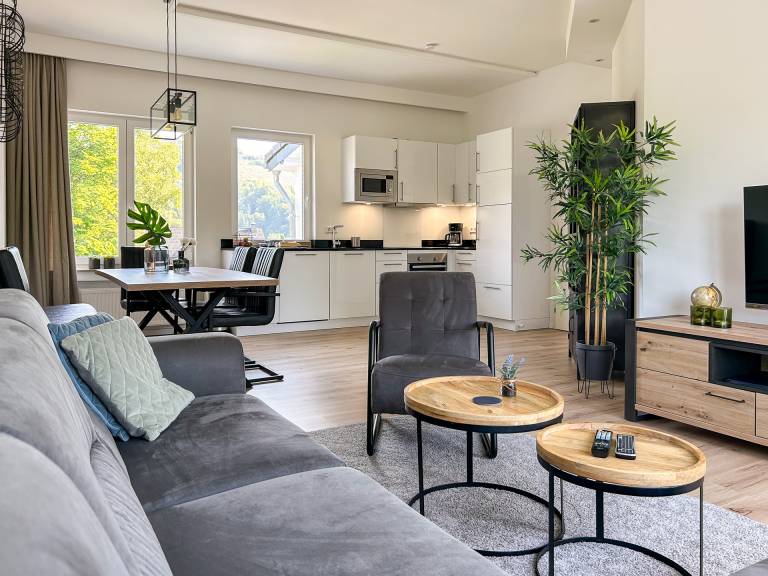 Luxury apartment, breathtaking views, close to Winterberg in Winterberg