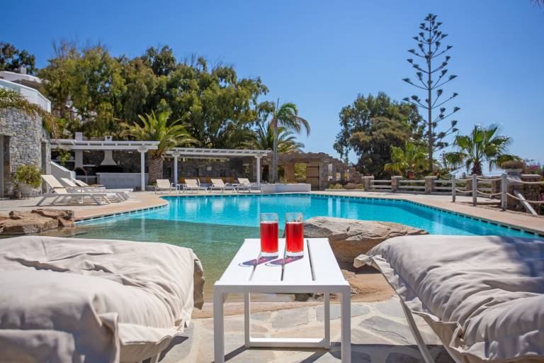 House with pool, garden & BBQ | Good for workation | Pet-friendly in Mykonos
