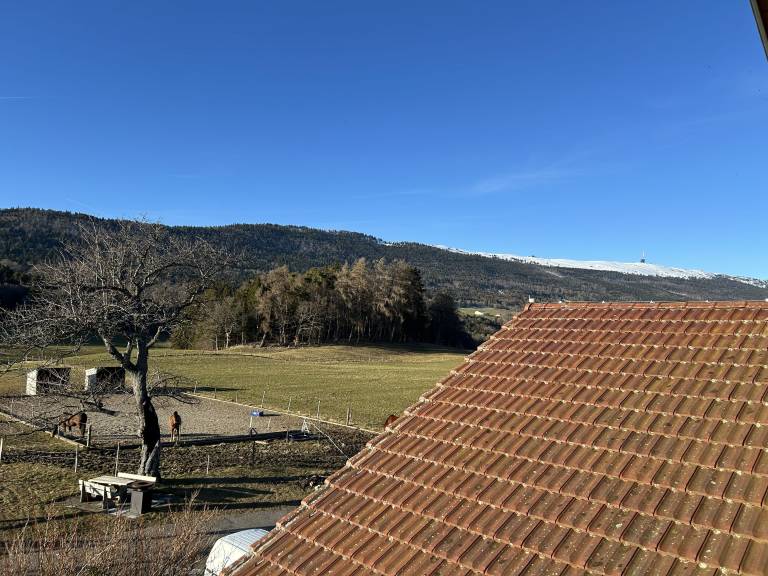 foto4