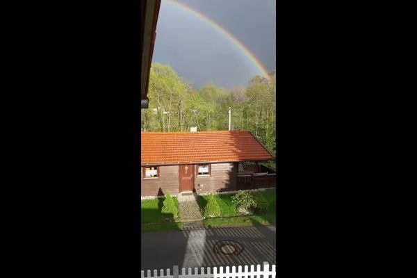 foto29