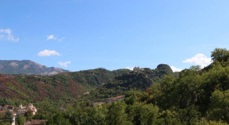 foto21