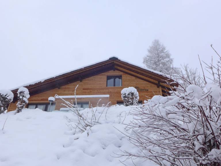 foto37