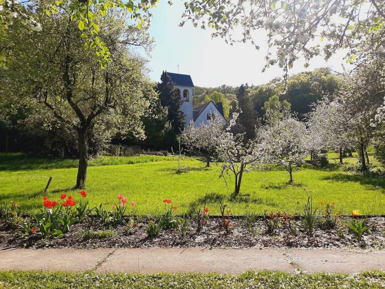 Ferienwohnung Bad Freienwalde (Oder)