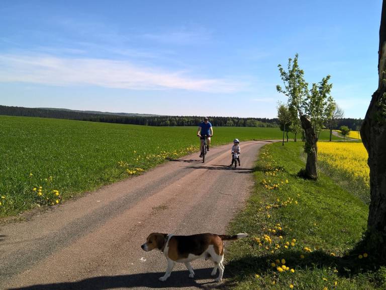 foto17