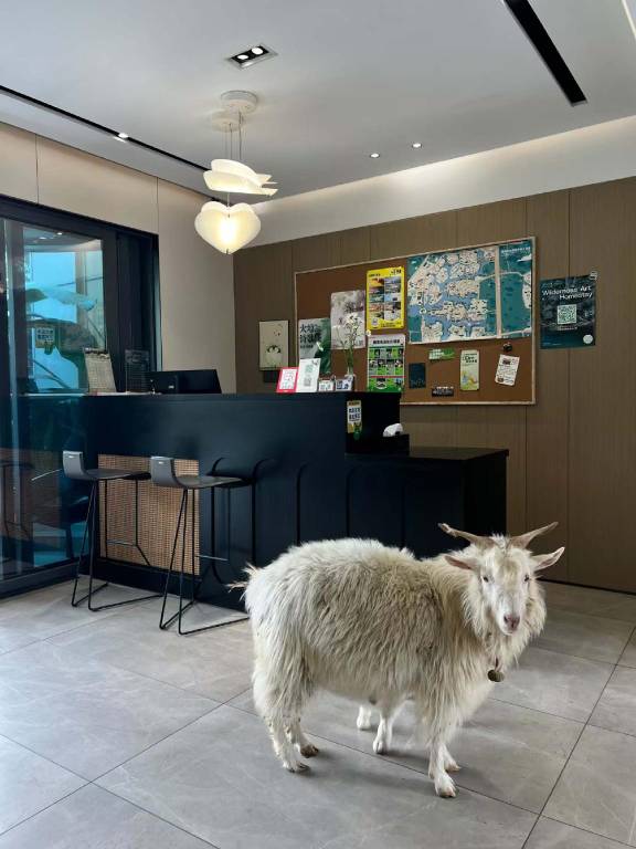 Wilderness Art Hotel — photo 4