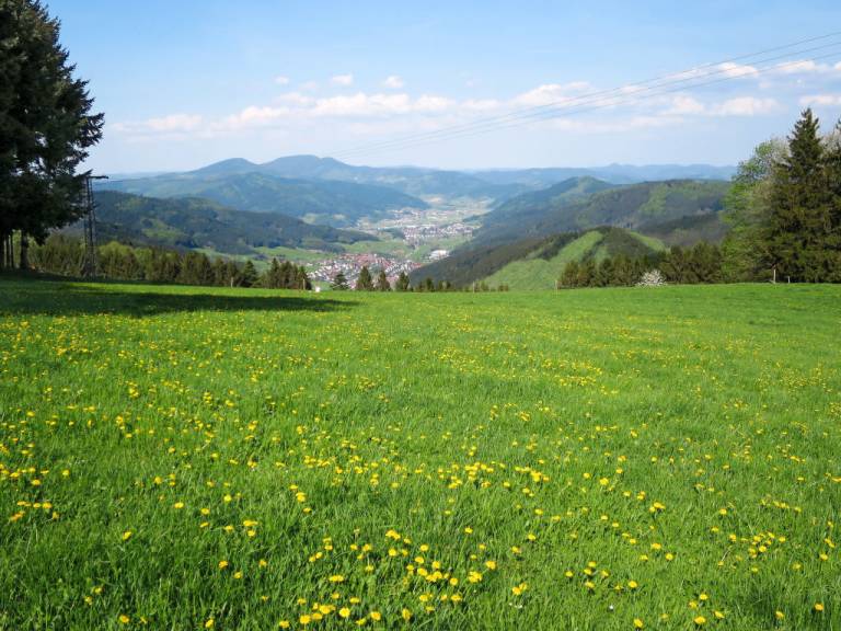 foto19