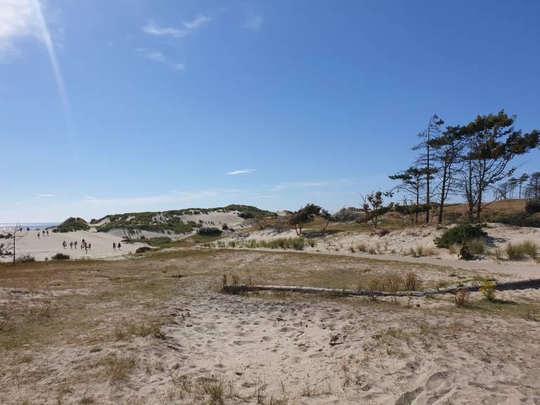 foto20