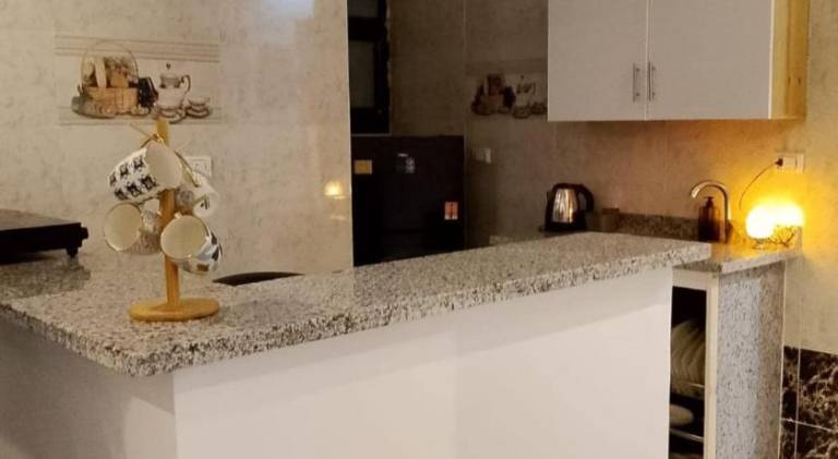 Apartment with terrace — photo 4