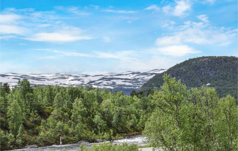Ferielejlighed Hovden i Setesdal