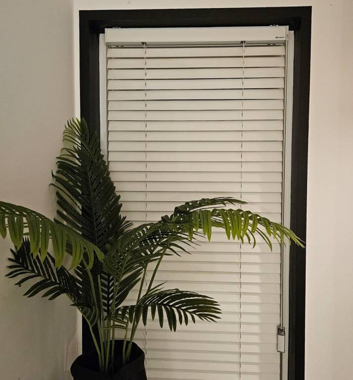 foto7