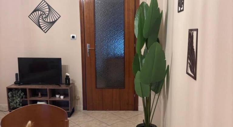 Rental apartment | Dogs allowed — photo 5