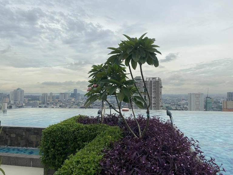 foto8