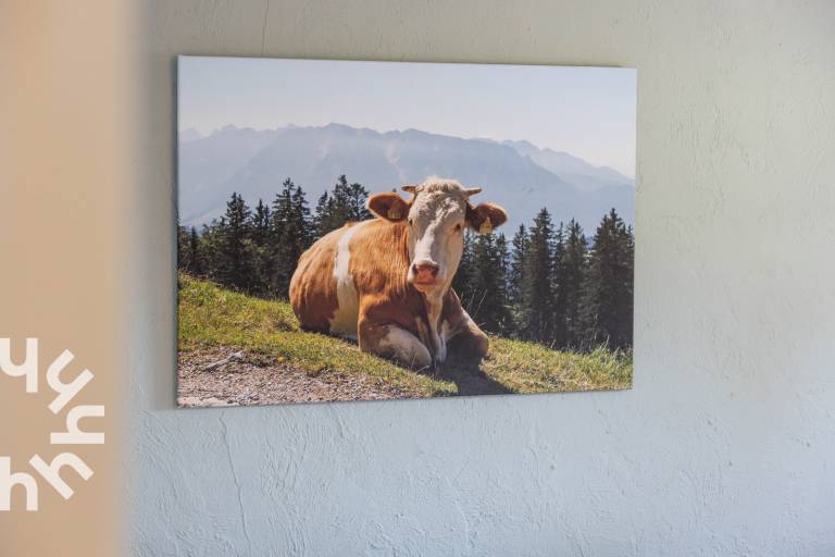 foto17
