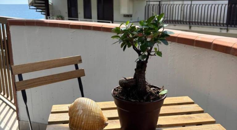 Apartment with 1 room for 5 persons — photo 4