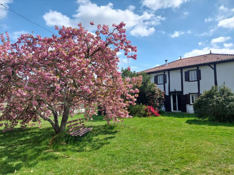 Ferienhaus in Mézos f&uuml;r max. 8 Personen am Atlantik