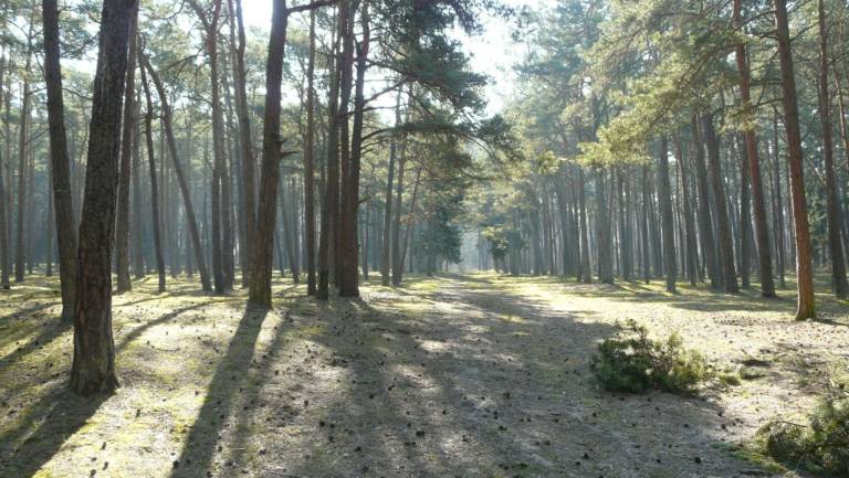 foto20