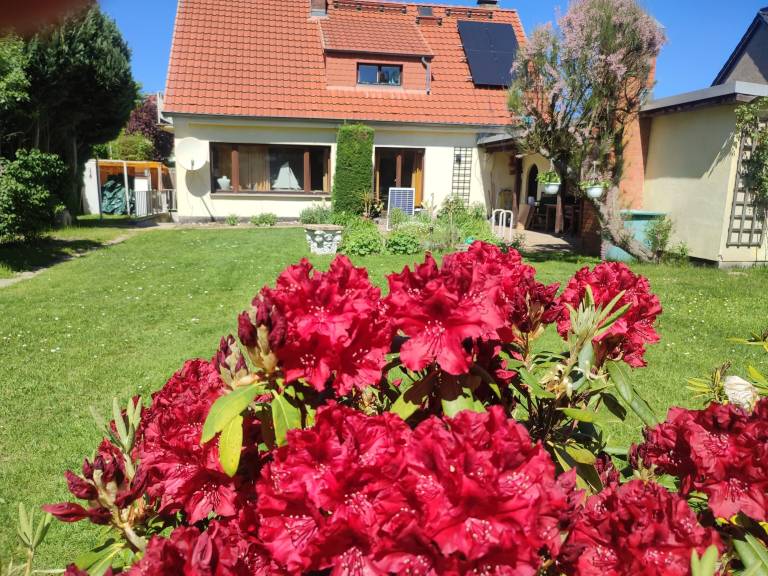 House  Gehlsdorf