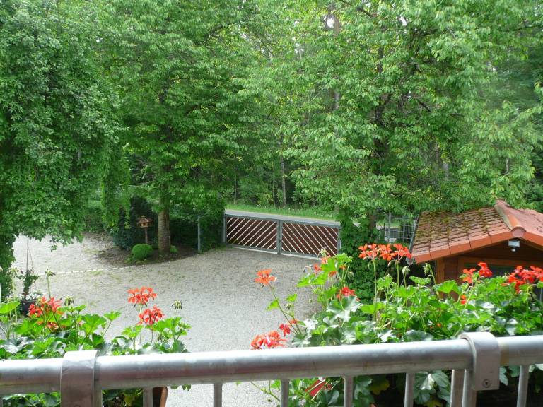 Rental apartment | Pets are welcome — photo 3