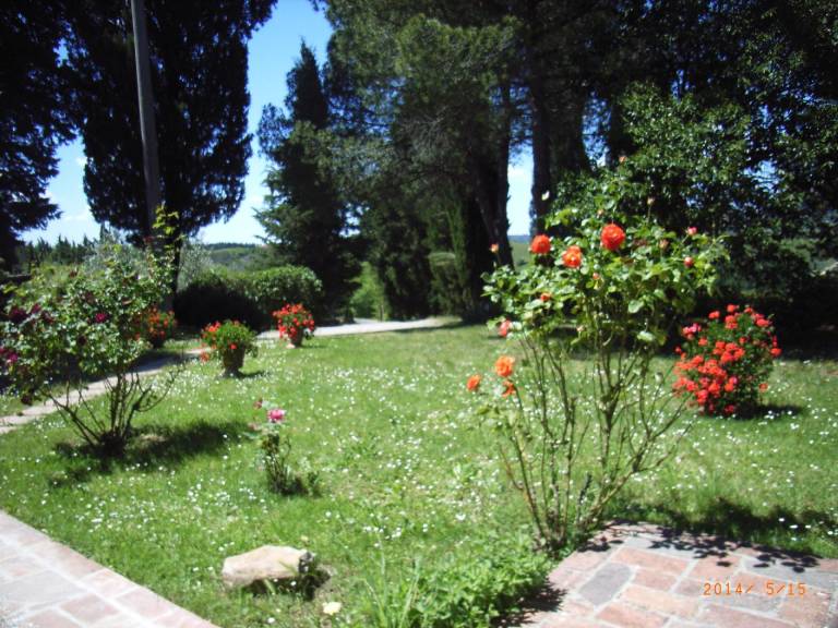foto11