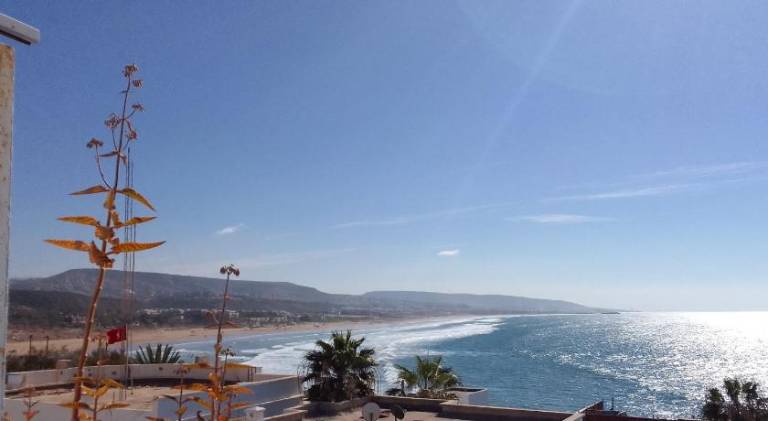 Ocean Surf Lodge — photo 3