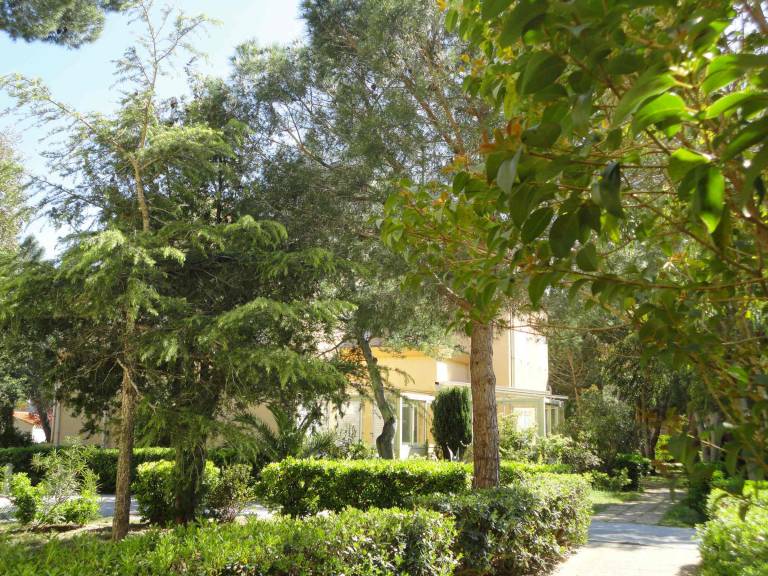 Rental apartment | Close to the beach | Pets allowed in Argelès-sur-Mer