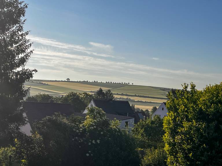 foto11