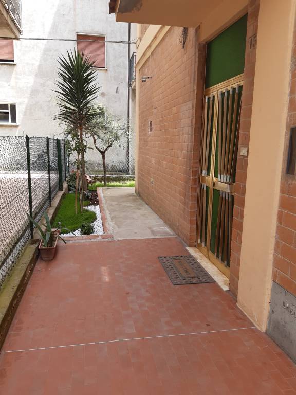 foto8