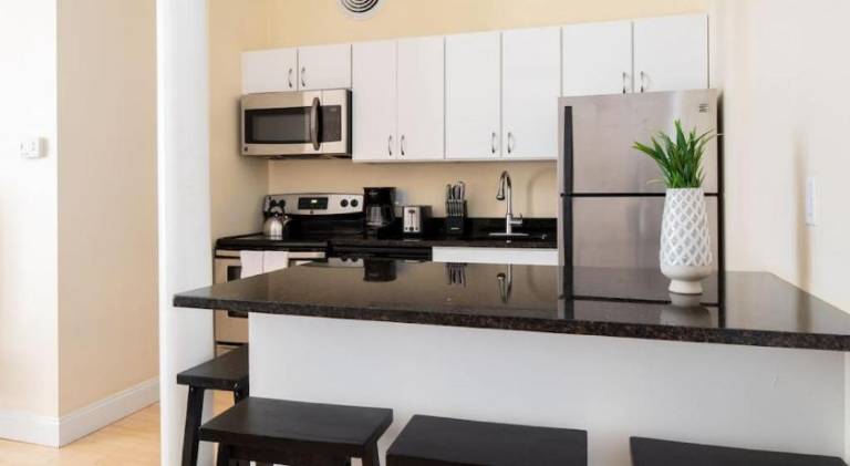 Rental apartment | Close to Faneuil Hall | Perfect for remote work | Pets allowed — photo 3