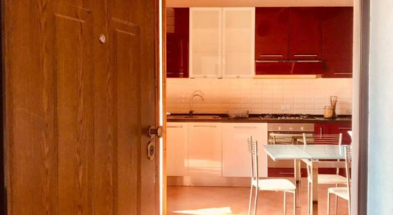 Nice holiday apartment | Dogs allowed — photo 2