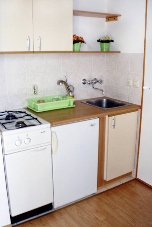 Studio flat with terrace and sea view Orebić, Pelješac (AS-266-a) — photo 3