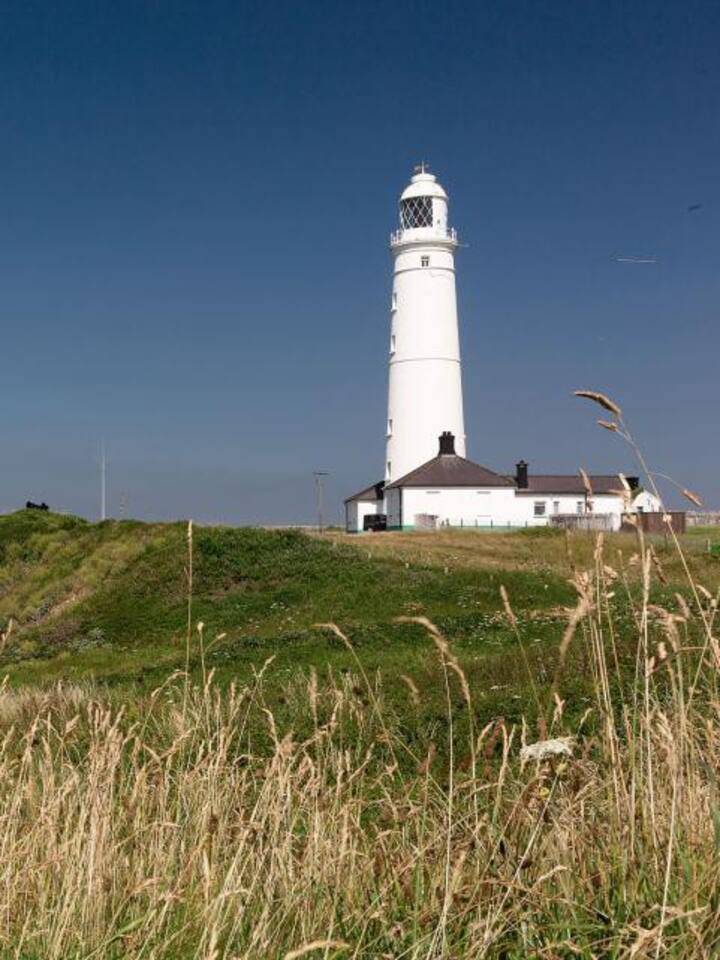 foto21