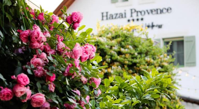 Hazai Provence in Veszprem