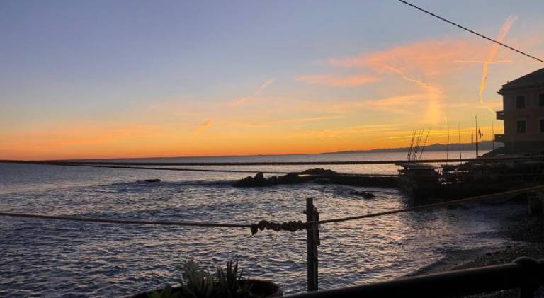 Holiday apartment | Close to the beach | Dogs allowed — photo 5