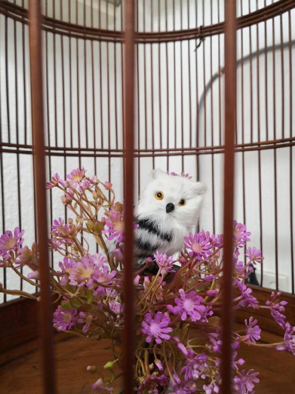 foto14