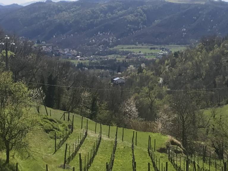 foto23