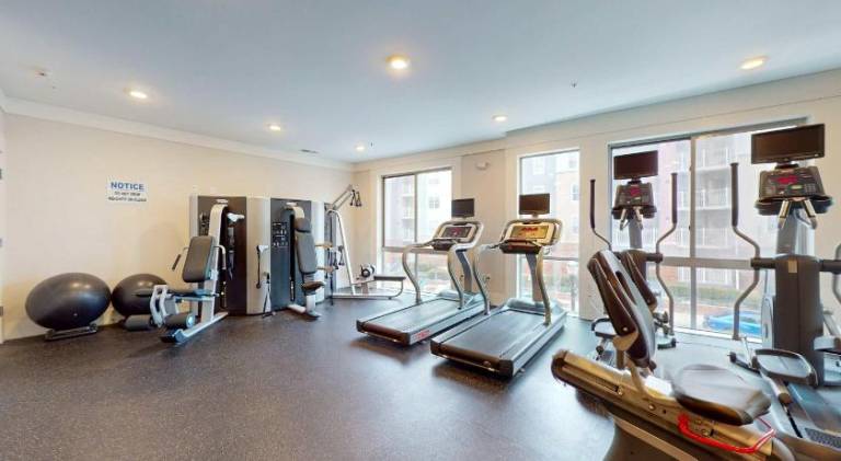Apartment with 1 room for 4 persons in Fairfield, CT
