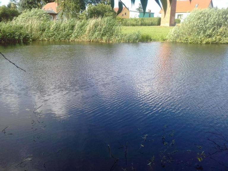 foto12