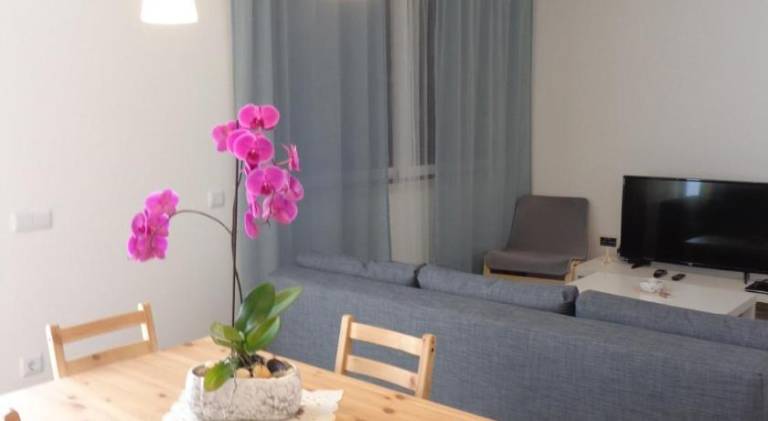 Apartment with patio in Coimbra