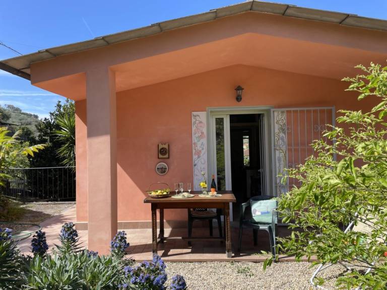 foto12