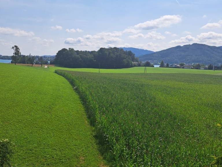 foto13