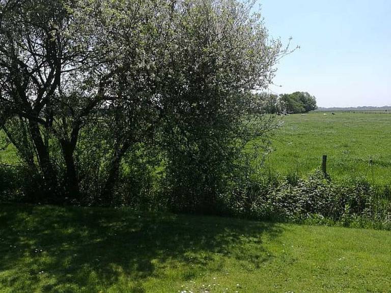 foto9