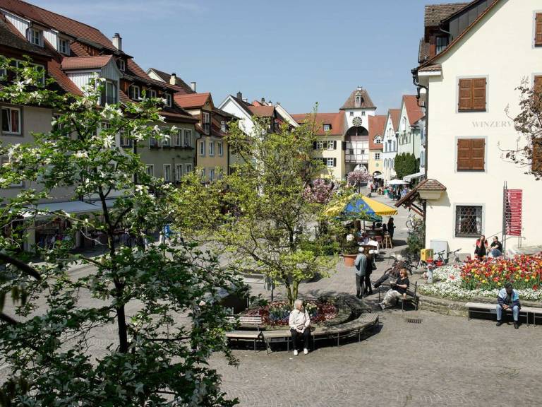 foto11