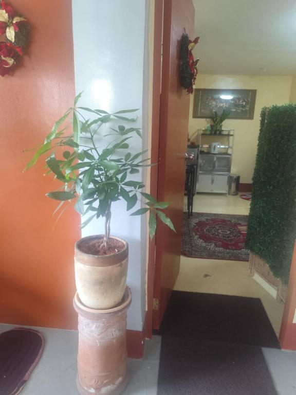 Holiday apartment | Pet-friendly — photo 3