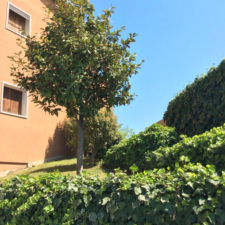 foto13