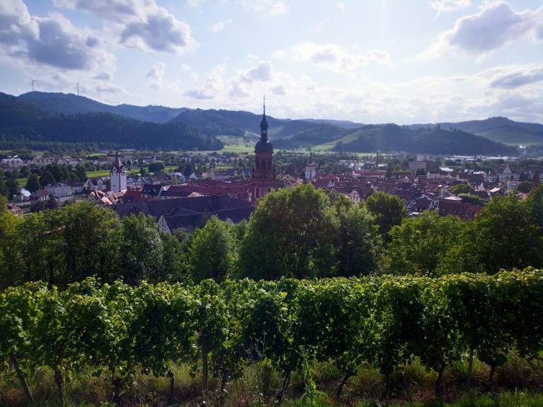 foto18